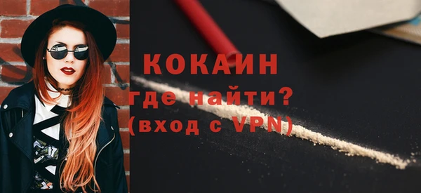 прущие грибы Новодвинск