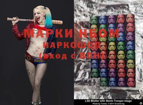 СК Новозыбков
