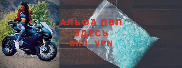 СК Новозыбков