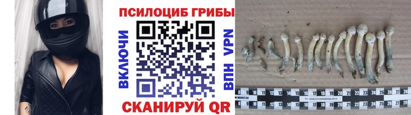мориарти клад  Сурск  Галлюциногенные грибы прущие грибы 