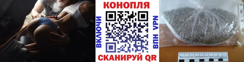 где купить наркоту  Сурск  Канабис VHQ 